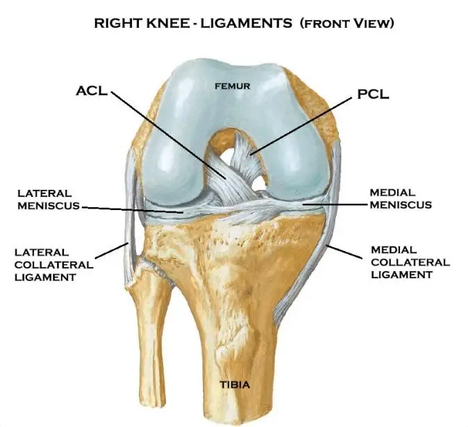 ortho treatment in chennai